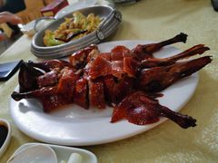 学成兰老鸭-学成饭店(官南大道店)