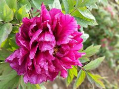 -幕燕滨江·长江观音景区