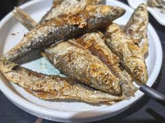 -野菌皇海景野生菌火锅(滨海大道店)