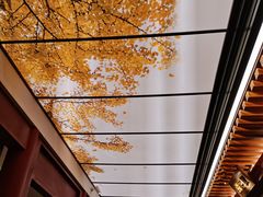 -京味斋·烤鸭·北京菜(安贞店)