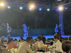 -渔家火锅·海鲜自助餐·演艺(亚龙湾天域酒店)