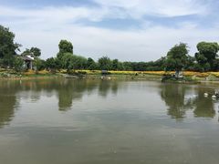 -鹅湖玫瑰文化园