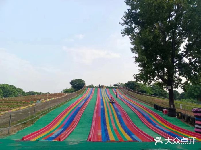 松山湖南湖湾露营营地图片
