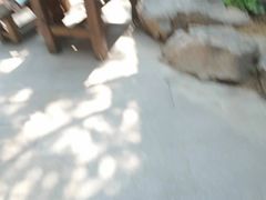 -威高民俗文化邨
