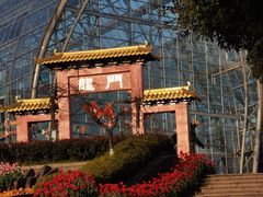 -南山植物园