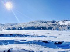 -塞罕坝国家级自然保护区