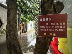 -广州神农草堂中医药博物馆