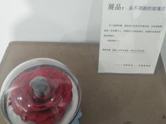 -成都失恋馆
