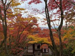 -常寂光寺
