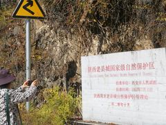 -黑河国家森林公园