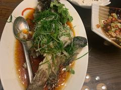 -采悦轩中餐厅·粤菜·海南菜(神州半岛喜来登度假酒店)