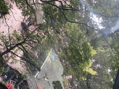 -全家福米线