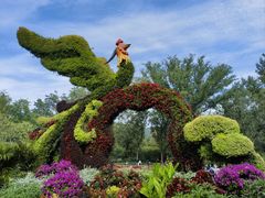 -国家植物园