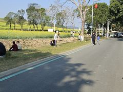 -光明小镇欢乐田园