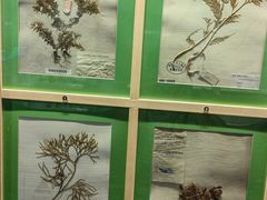 -四川大学博物馆