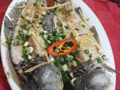 -先鲜鲫鱼粥
