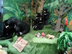 -济州岛泰迪熊博物馆