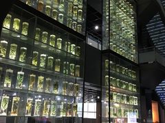 -广东中医药博物馆