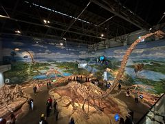 -自贡恐龙博物馆