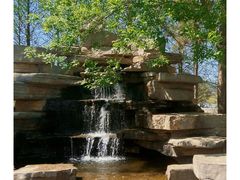 -羊亭河湿地公园