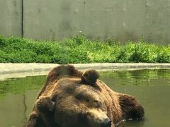 -上方山森林动物世界