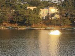 -东莞植物园
