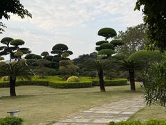 -南宁南湖公园