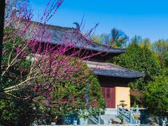 -慧因高丽寺