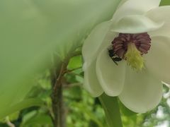 -本溪水洞