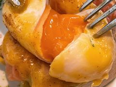 -Elephant Grounds(STARSTREET)