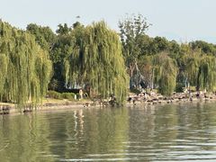 -东钱湖旅游度假区