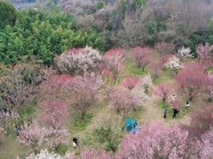-蜀冈西峰生态公园