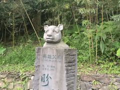 -都江堰中华大熊猫苑