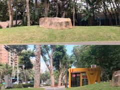 -福田红树林生态公园