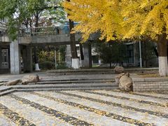 -辽宁大学(崇山校区)