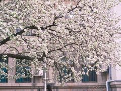 -山东师范大学(千佛山校区)