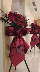 -上海交通大学医学院附属上海儿童医学中心(陆家嘴总院区)