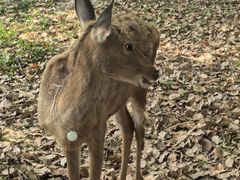 -上海交通大学(闵行校区)