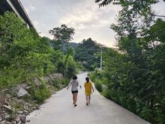 -十三陵水库