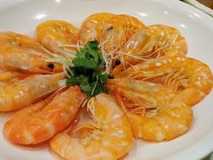 盐水野生大海虾-鞍山大白鲨美食酒店