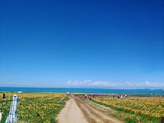 -青海湖国家重点风景名胜区