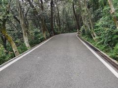-滴水岩森林公园