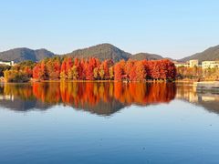 -浙江农林大学(东湖校区)