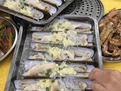 爱尔兰圣子皇-蚝专家(北滘店)