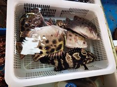 -南沙十九涌渔人码头-南门