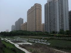 -唐城墙遗址公园