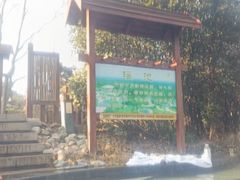 -东海森林温泉度假酒店