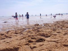 -前王院•巧克力海鲜市集餐厅(万平口店)