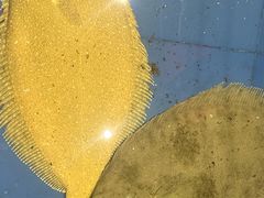 -山东八大碗山东老字号