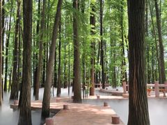 -东湖落雁景区